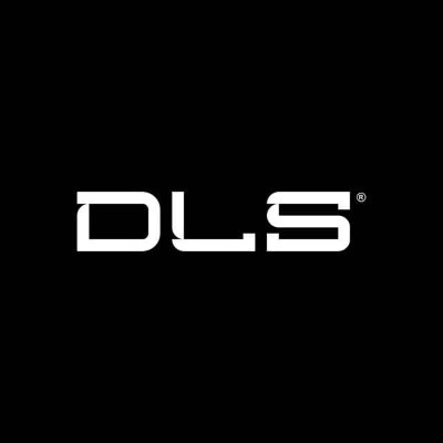 DLS Estética Automotiva — imagem 2